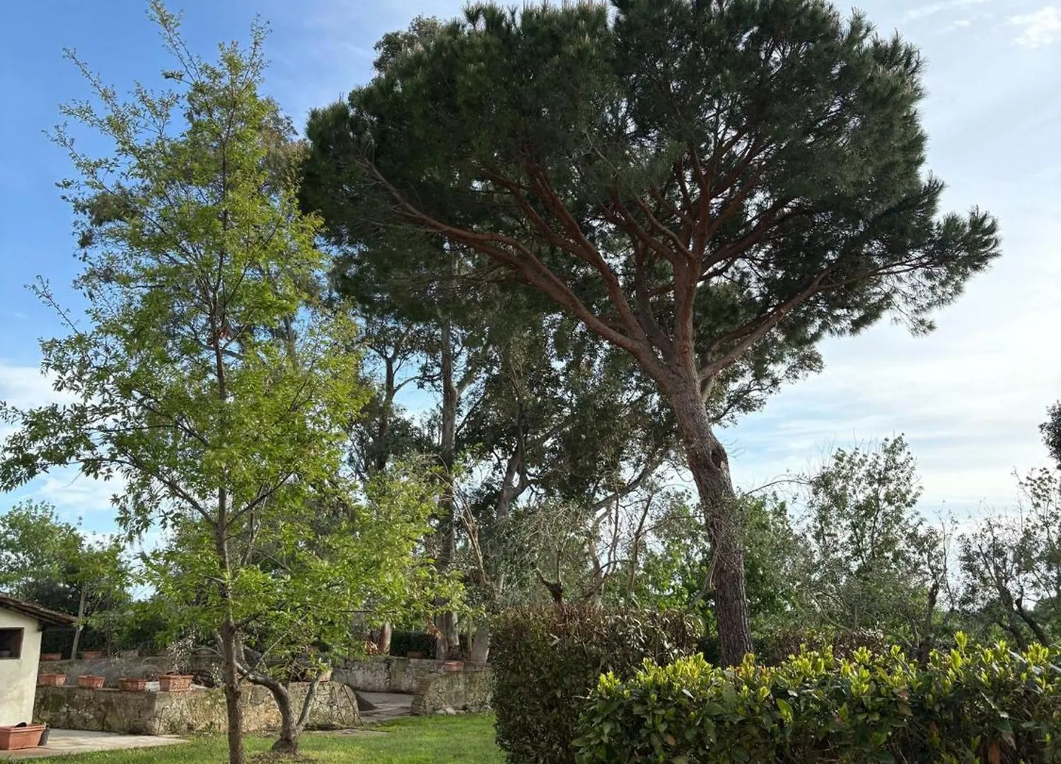 Rustico Sant'Emilio Διαμέρισμα Riotorto