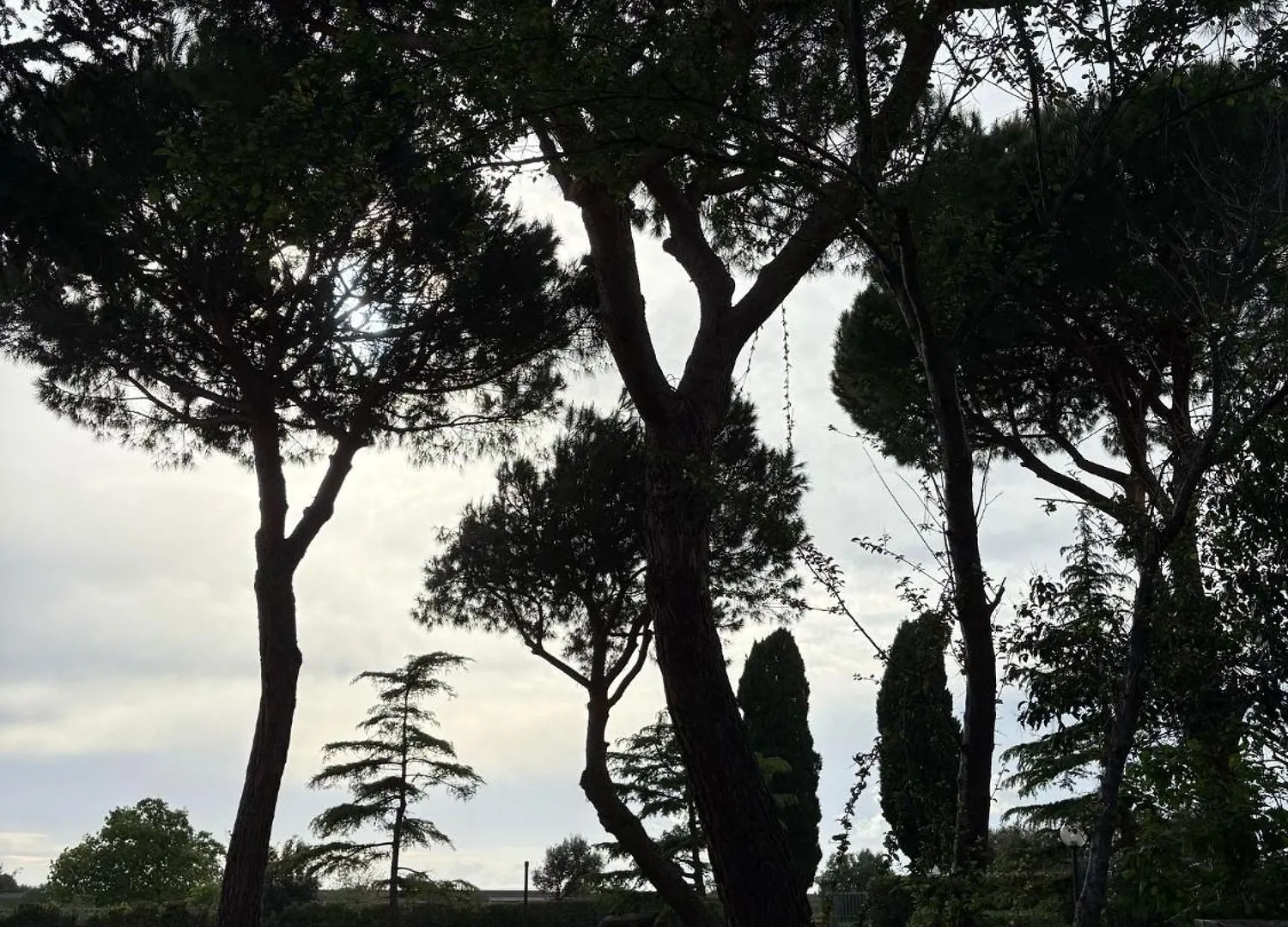 Rustico Sant'Emilio Διαμέρισμα Riotorto