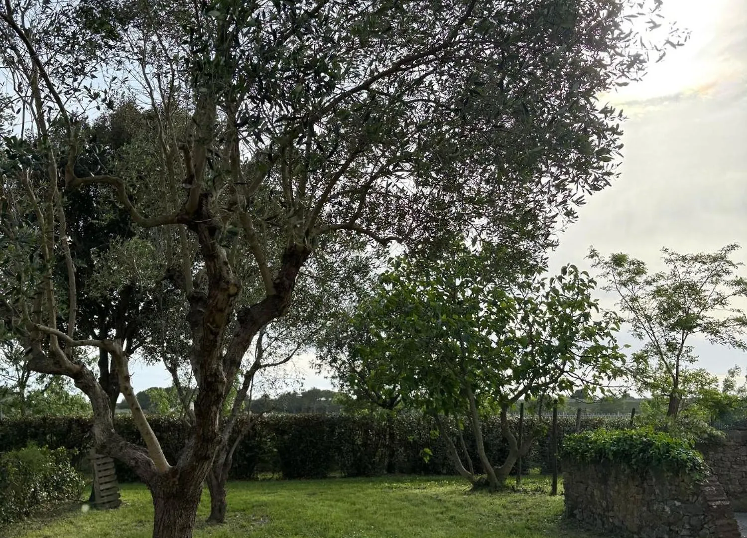 Rustico Sant'Emilio Διαμέρισμα Riotorto